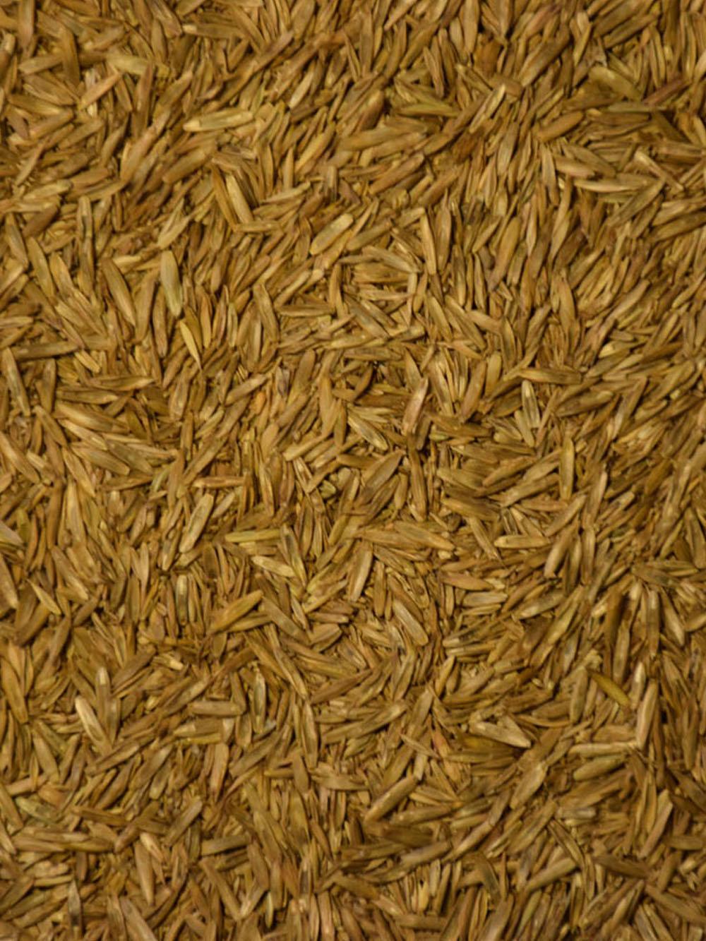 Premium Grass Base Forage Mix